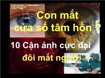 Con mắt- Cửa sổ tâm hồn