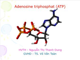 Đề tài Adenosine triphosphat (ATP)