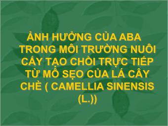 Đề tài Ảnh hưởng của ABA trong môi trường nuôi cấy tạo chồi trực tiếp từ mô sẹo của lá cây chè (Camellia sinensis (L.))