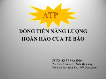 Đề tài ATP: đồng tiền năng lượng hoàn hảo cho tế bào