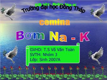 Đề tài Bơm Na - K