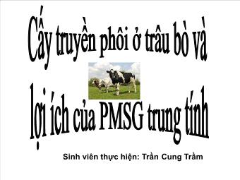 Đề tài Cấy truyền phôi ở trâu bò và lợi ích của PMSG trung tính