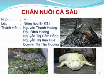 Đề tài Chăn nuôi cá sấu