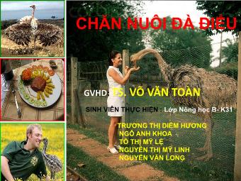 Đề tài Chăn nuôi đà điểu