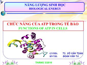 Đề tài Chức năng của ATP trong tế bào