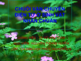 Đề tài Chuỗi vận chuyển điện tử ở sinh vật nhân chuẩn