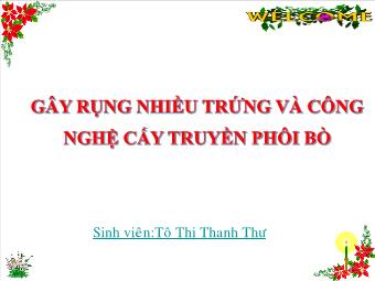 Đề tài Gây rụng nhiều trứng và công nghệ cấy truyền phôi bò