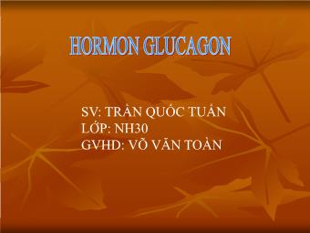 Đề tài Hormon Glucagon