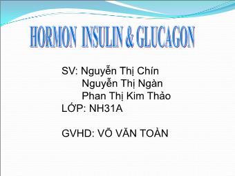 Đề tài Hormon insulin & glucagon