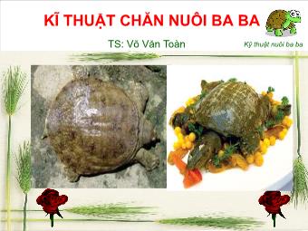 Đề tài Kĩ thuật chăn nuôi ba ba