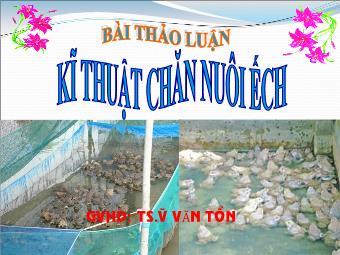 Đề tài Kĩ thuật chăn nuôi ếch