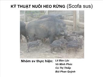 Đề tài Kỹ thuật nuôi heo rừng (scofa sus)