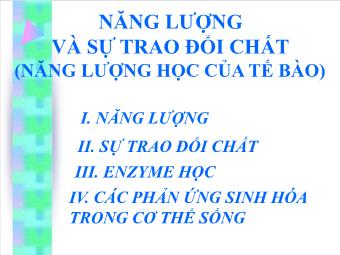 Đề tài Năng lượng và sự trao đổi chất (năng lượng học của tế bào)