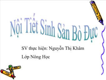 Đề tài Nội tiết sinh sản bò đực