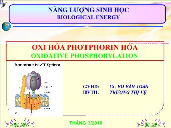 Đề tài Oxi hóa photphorin hóa