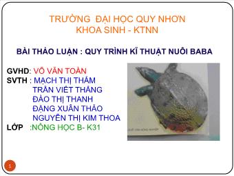 Đề tài Quy trình kĩ thuật nuôi baba