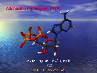 Đề tài số 2: Adenosine triphosphat (ATP)