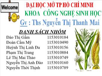 Đề tài Sự đa dạng của sinh giới