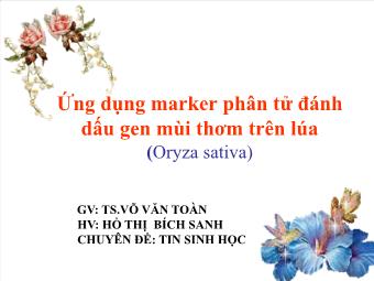 Đề tài Tin Sinh học: Ứng dụng marker phân tử đánh dấu gen mùi thơm trên lúa (Oryza sativa)