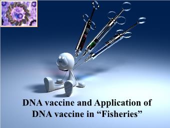 DNA vaccine and Application of DNA vaccine in “Fisheries”