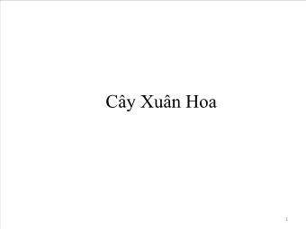 Dược lý Cây Xuân Hoa