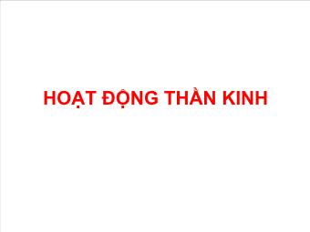 Hoạt động thần kinh