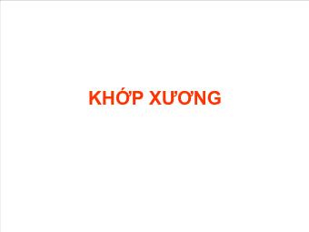 Khớp xương người