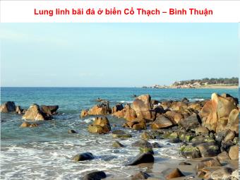 Lung linh bãi đá ở biển Cổ Thạch-Bình Thuận