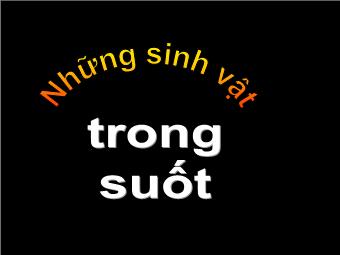 Những sinh vật trong suốt