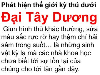 Phát hiện thế giới kỳ thú dưới Đại Tây Dương