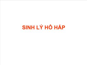 Sinh lý hô hấp