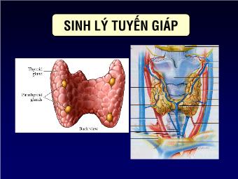 Sinh lý tuyến giáp