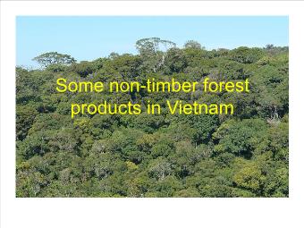 Some non-Timber forest products in Vietnam