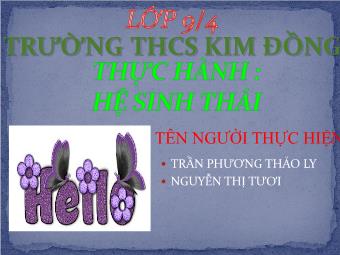 Thực hành Sinh học 9: Hệ sinh thái - Trường THCS Kim Đồng