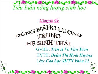 Tiểu luận Dòng năng lượng trong hệ sinh thái