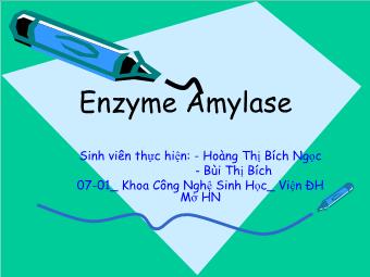 Tiểu luận Enzyme Amylase
