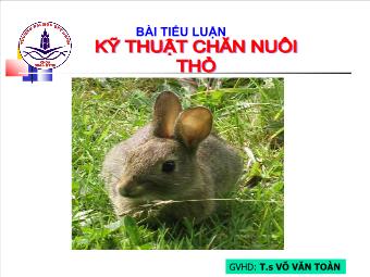 Tiểu luận Kỹ thuật chăn nuôi thỏ