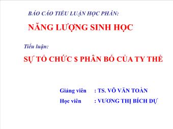 Tiểu luận Sự tổ chức & phân bố của ty thể