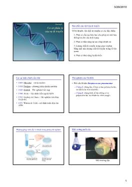 Bài giảng Sinh học đại cương A1 - Chương 8: Cơ sở phân tử của sự di truyền