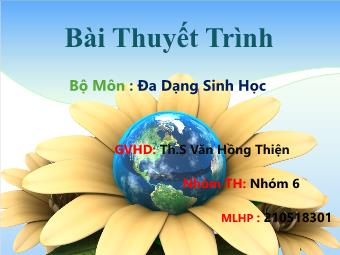 Đề tài Bảo tồn đa dạng sinh học ở Việt Nam