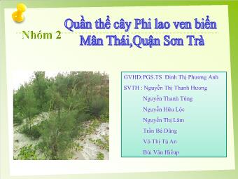 Đề tài Quần thể cây Phi lao ven biển Mân Thái,Quận Sơn Trà
