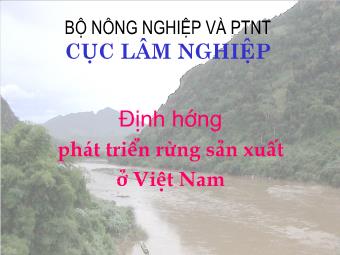 Định hướng phát triển rừng sản xuất ở Việt Nam