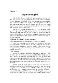 Giáo trình Di truyền y học - Chương 12: Lập bản đồ gene