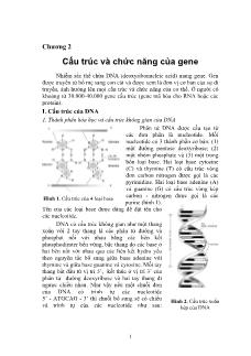 Giáo trình Di truyền y học - Chương 2: Cấu trúc và chức năng của gene