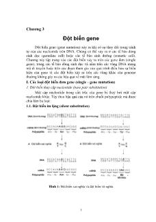 Giáo trình Di truyền y học - Chương 3: Đột biến gene