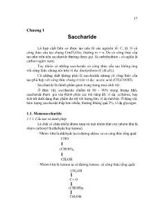 Giáo trình Hóa Sinh học - Chương 1 Saccharide