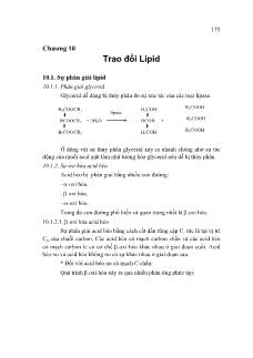 Giáo trình Hóa Sinh học - Chương 10 Trao đổi Lipid