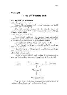 Giáo trình Hóa Sinh học - Chương 12 Trao đổi Nucleic Acid