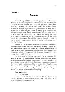 Giáo trình Hóa Sinh học - Chương 3 Protein
