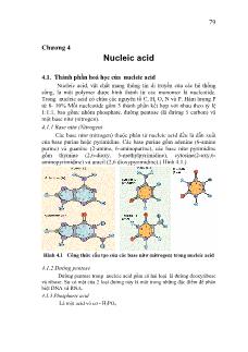 Giáo trình Hóa Sinh học - Chương 4 Nucleic acid